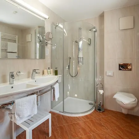 Sylvana's Wohlfuehl 4* マイヤーホーフェン