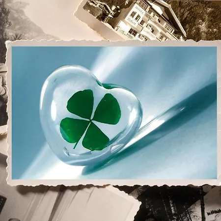 Sylvana's Wohlfuehl マイヤーホーフェン