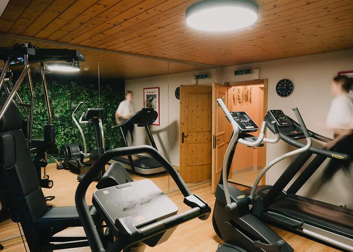 Hotel Sylvana's Wohlfühl Mayrhofen